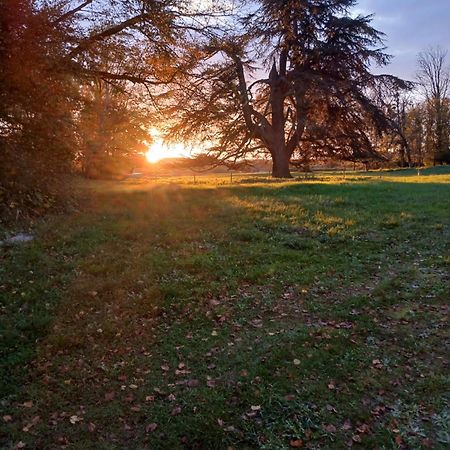 Chateau De Maucouvent Challuy Экстерьер фото